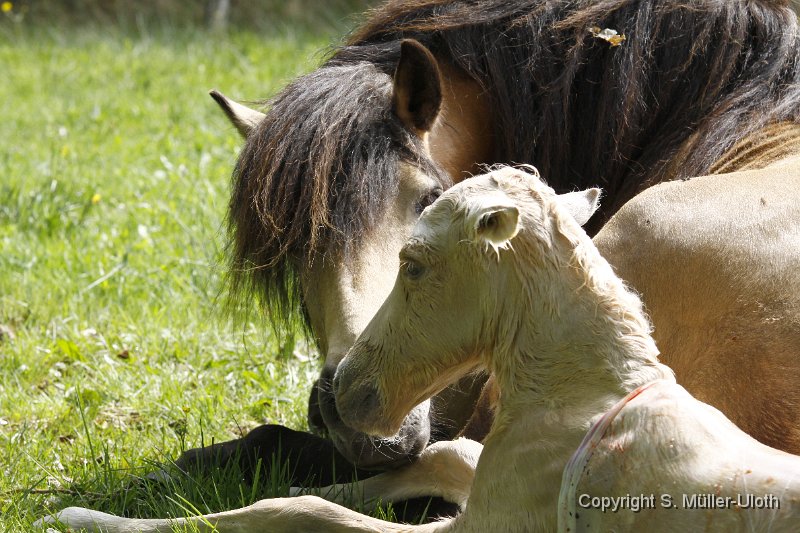 Hjoerdis 6 Min alt (3).JPG